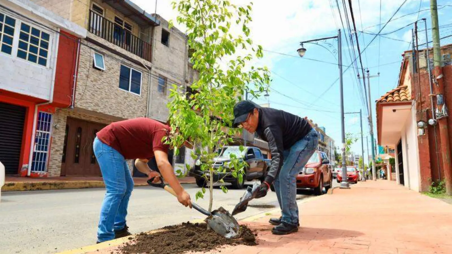 campaña reforestación2